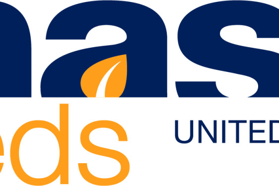 MAS Seeds