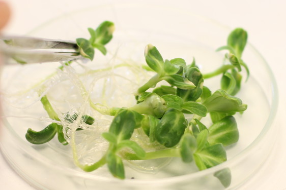 Laboratoire R&D