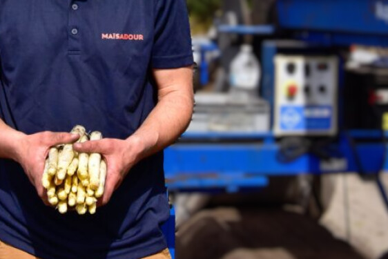 chargé mission asperges