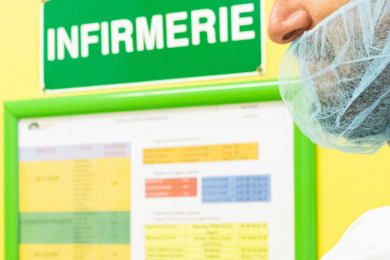 INFIRMIER DU TRAVAIL