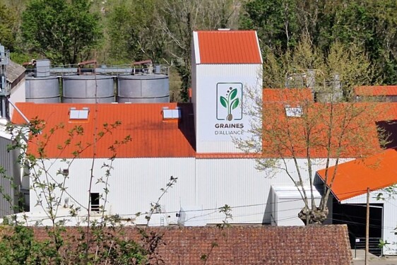 graines d'alliance site