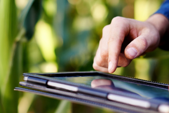 agridigital
