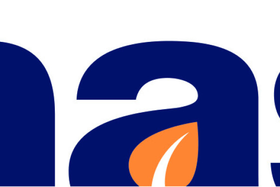 MAS Seeds bandeau