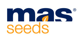 MAS Seeds